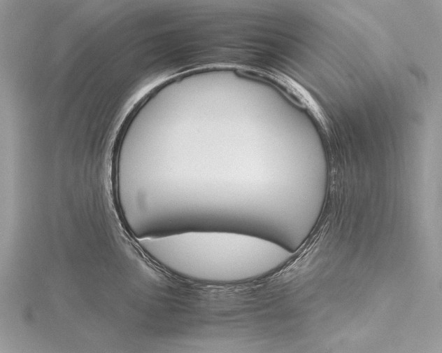 X0000115761051200912041406