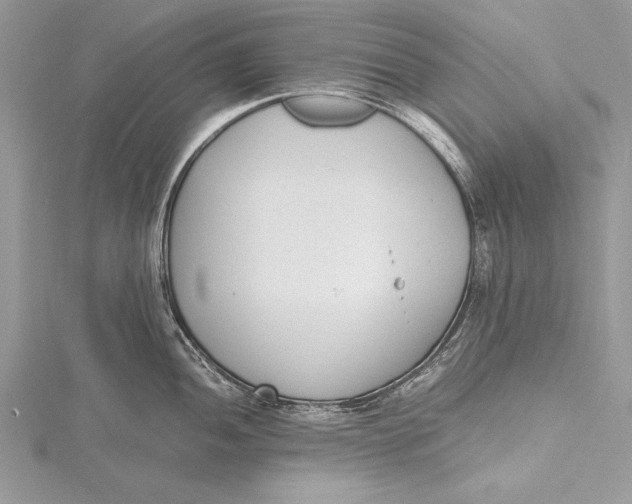 X0000115761052200912041406