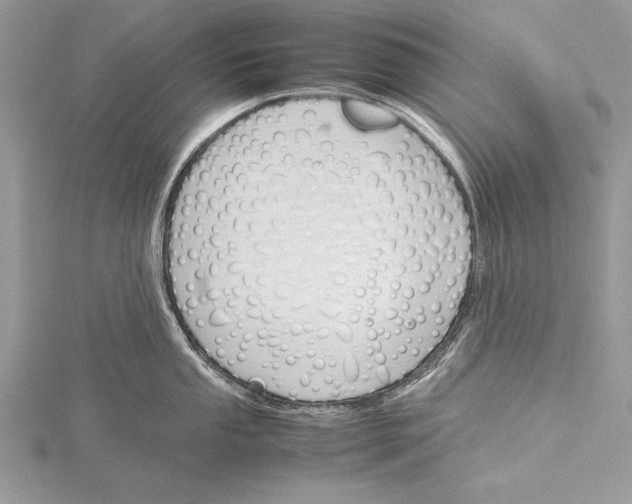 X0000115761053200912041406