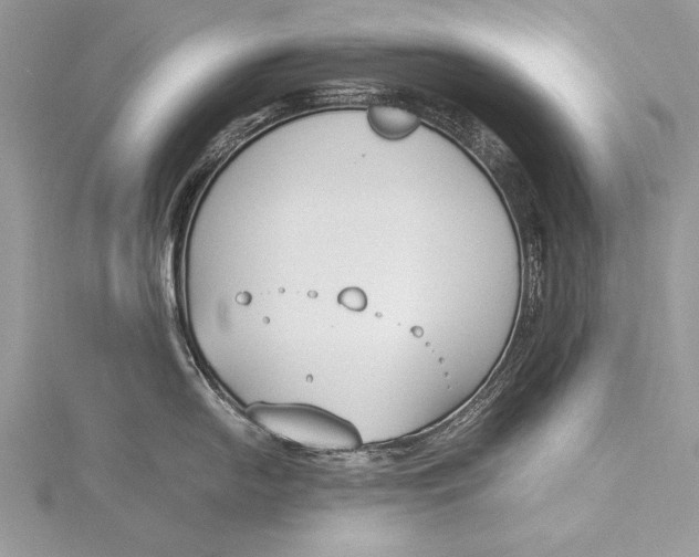 X0000115761054200912041406