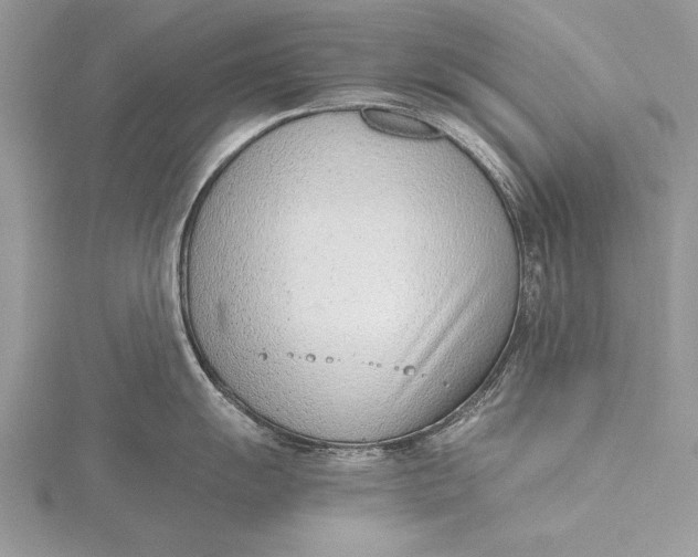 X0000115761055200912041406