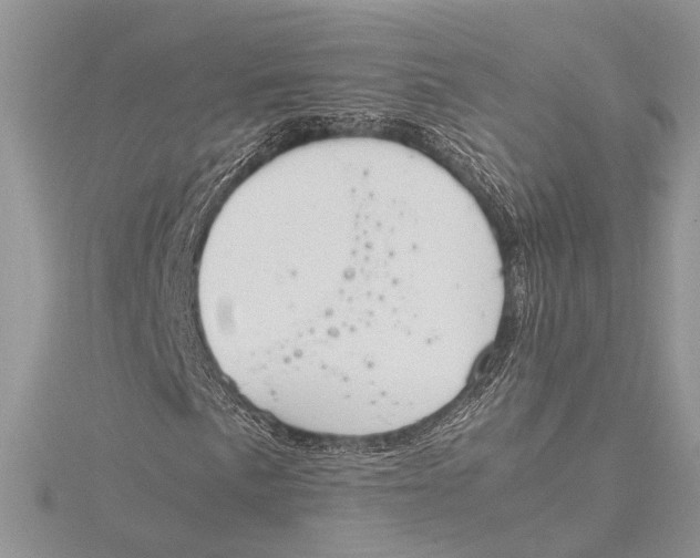 X0000115761057200912041406