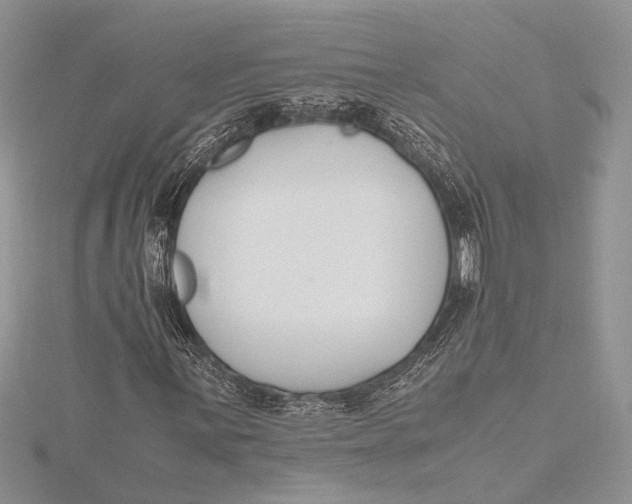 X0000115761059200912041406