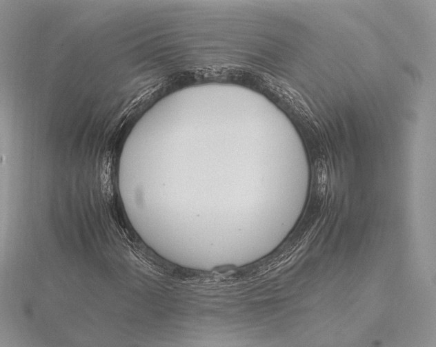 X0000115761060200912041406