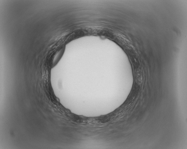 X0000115761061200912041406