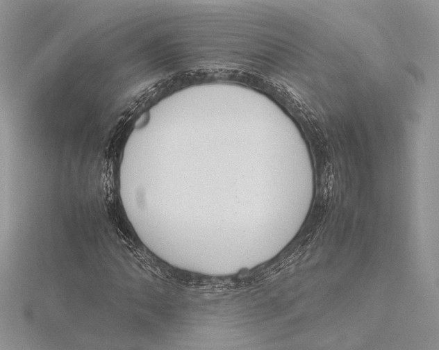 X0000115761062200912041406