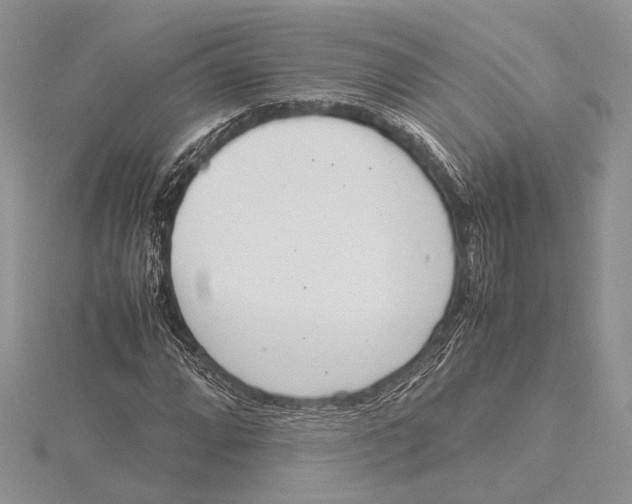 X0000115761064200912041406