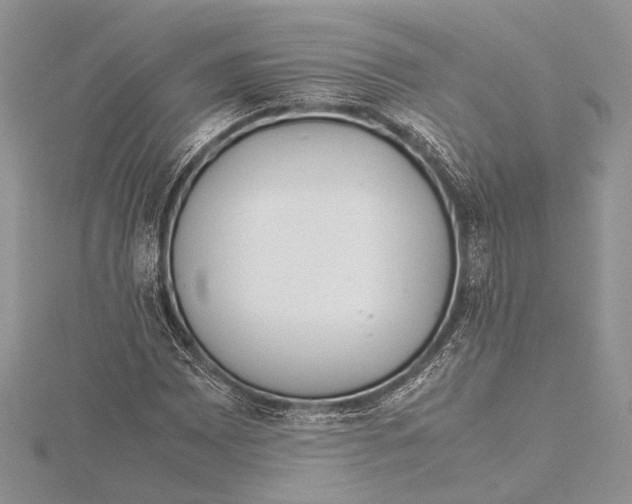 X0000115761065200912041406