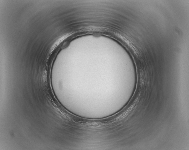 X0000115761066200912041406