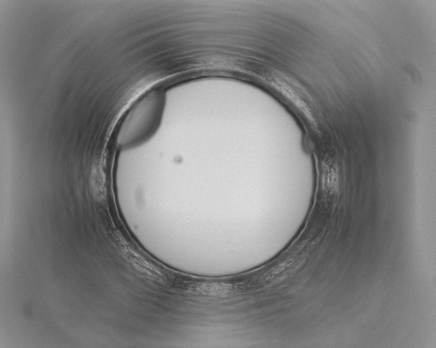 X0000115761068200912041406