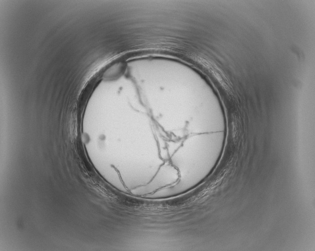 X0000115761069200912041406