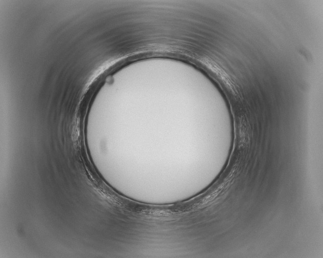 X0000115761070200912041406