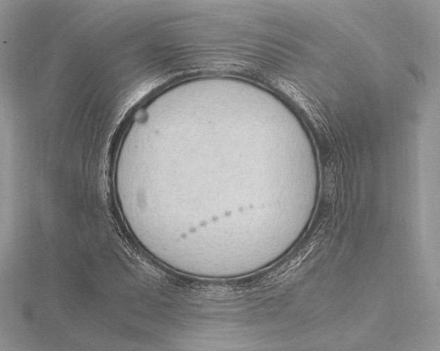 X0000115761071200912041406