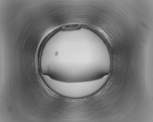 X0000115761072200912041406