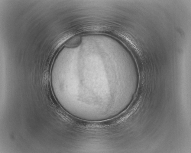 X0000115761073200912041406