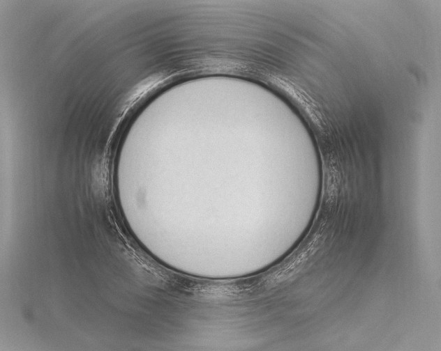 X0000115761074200912041406