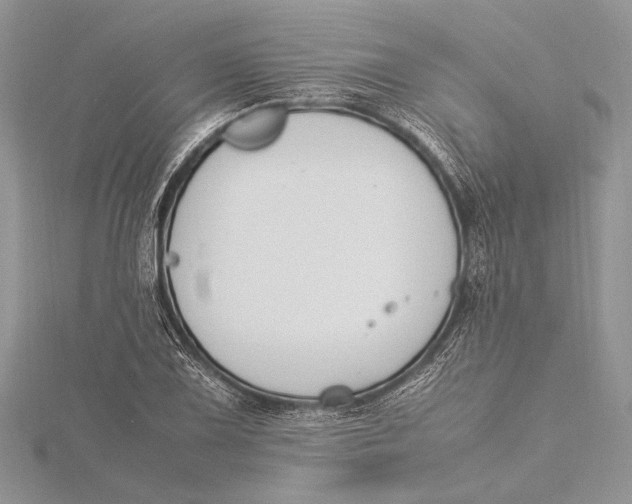 X0000115761075200912041406