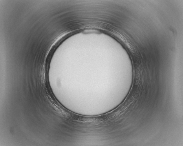 X0000115761076200912041406