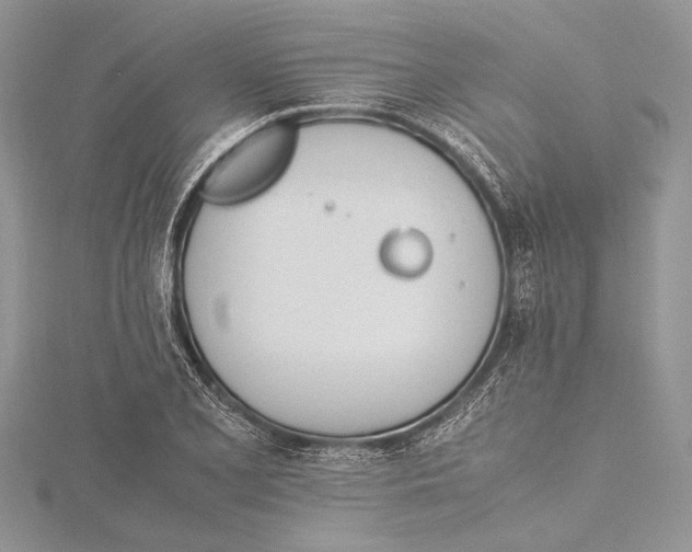 X0000115761077200912041406