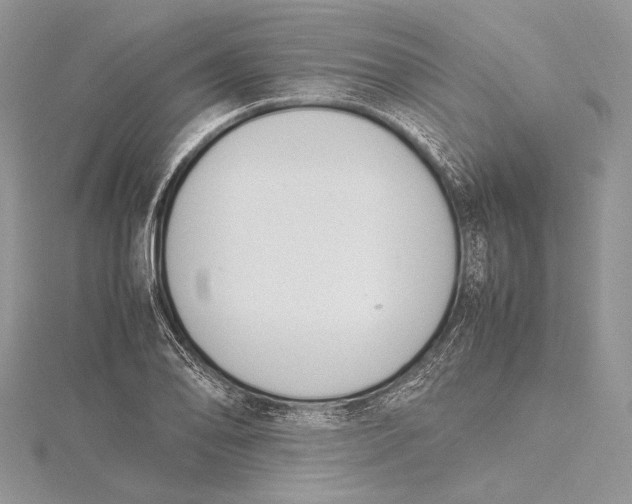 X0000115761078200912041406