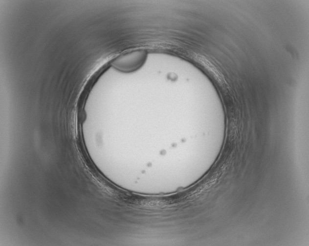 X0000115761079200912041405