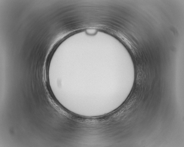 X0000115761080200912041405