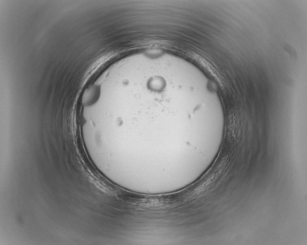 X0000115761082200912041405