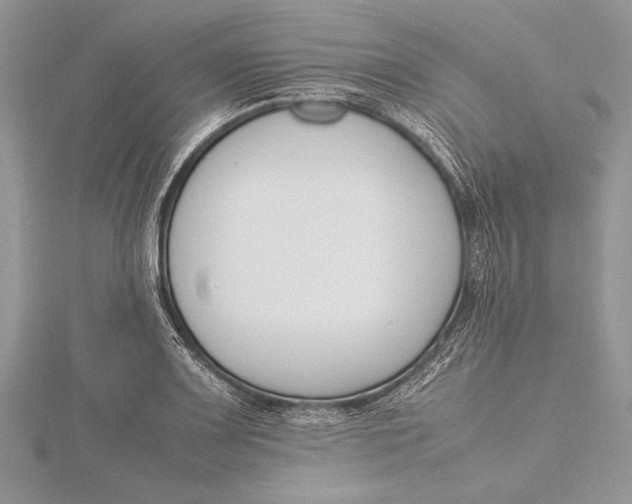 X0000115761083200912041405