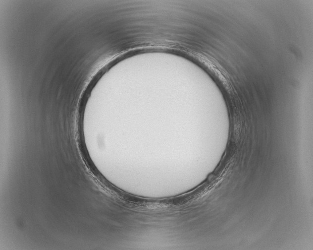 X0000115761085200912041405