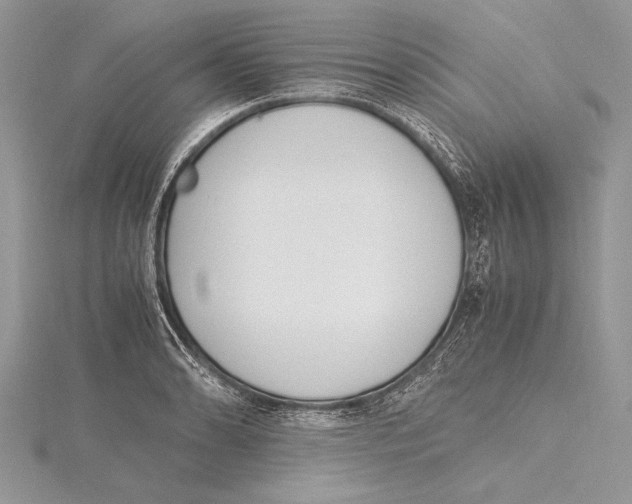 X0000115761086200912041405