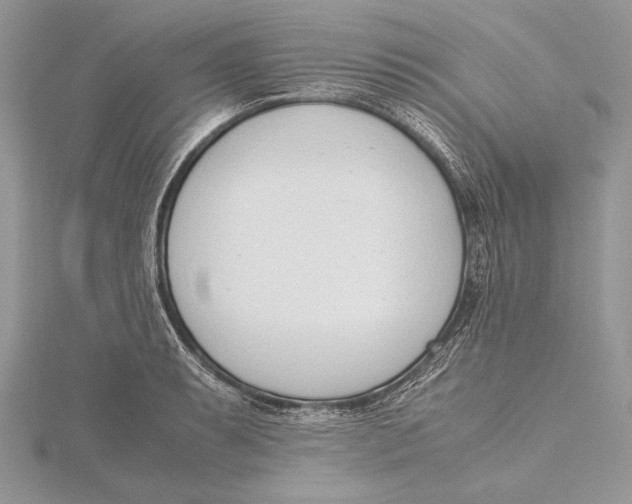 X0000115761087200912041405