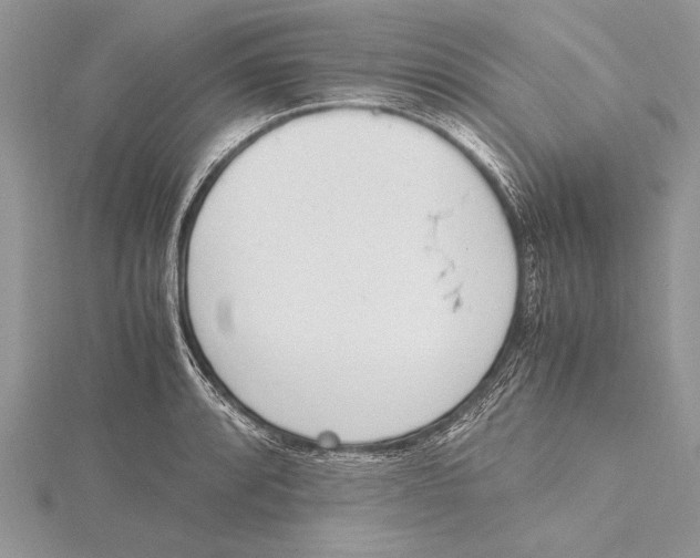 X0000115761088200912041405