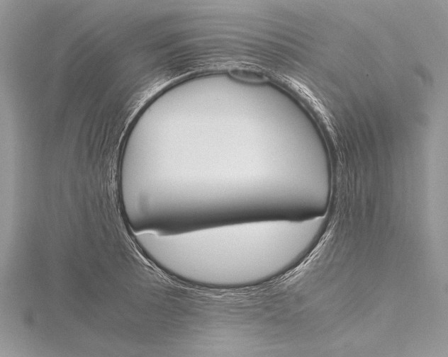 X0000115761089200912041405