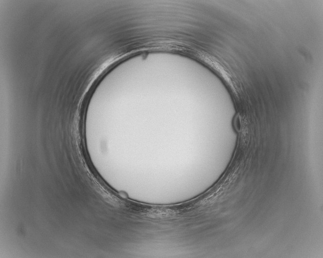 X0000115761091200912041405