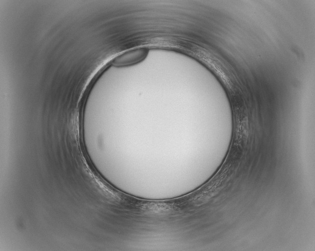 X0000115761092200912041405