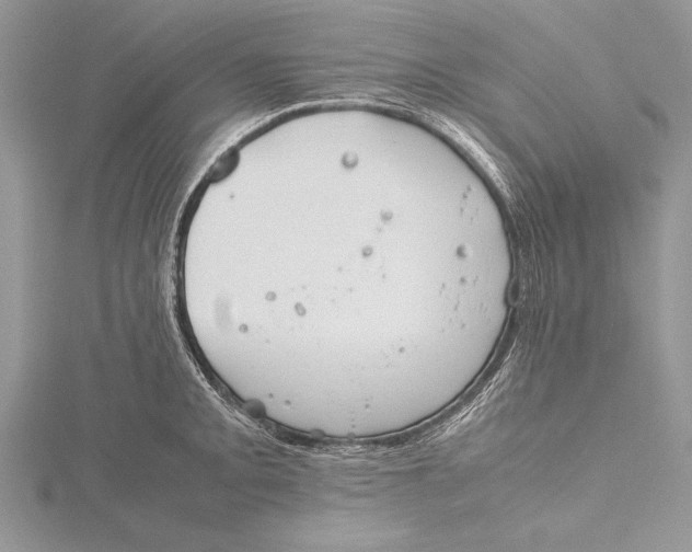 X0000115761093200912041405