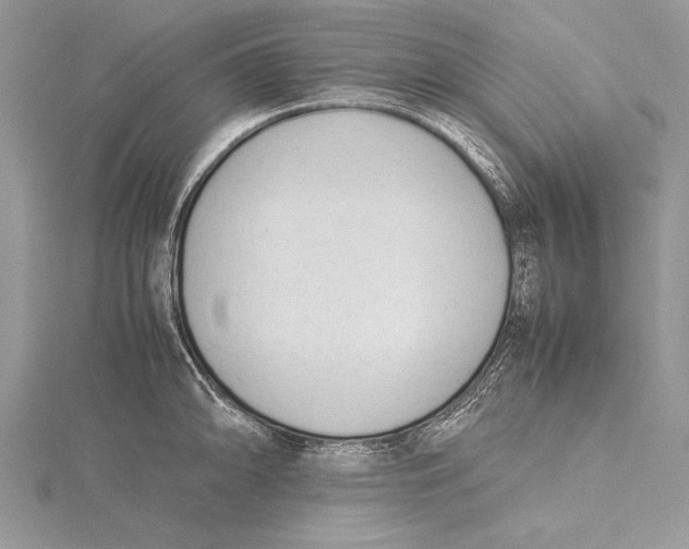 X0000115761094200912041405