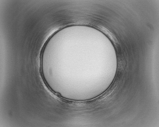 X0000115761095200912041405