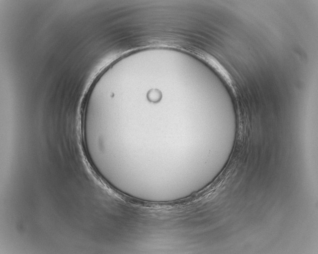 X0000115761096200912041405