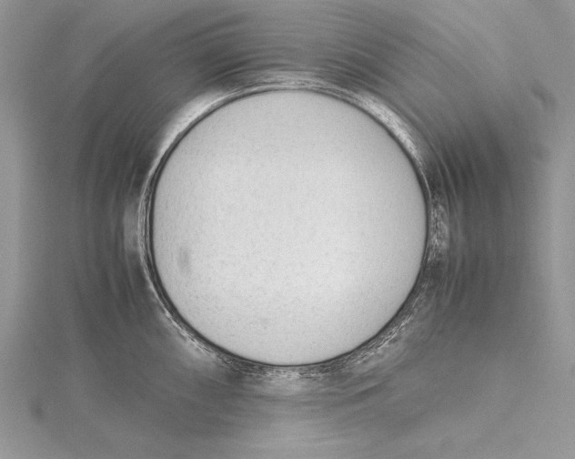 X0000115761098200912041405