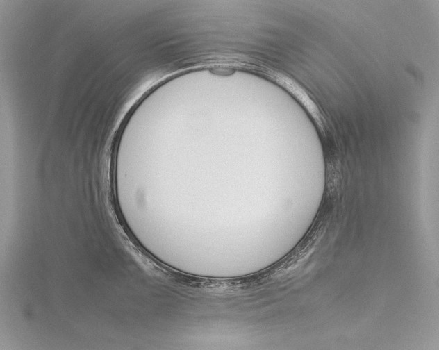 X0000115761099200912041405