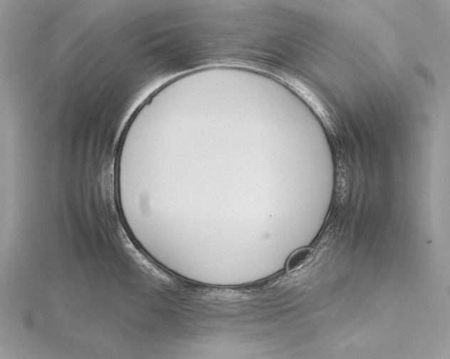 X0000115761100200912041405