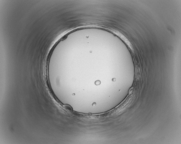 X0000115761101200912041405