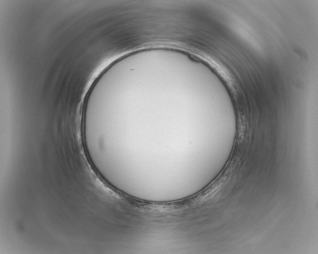 X0000115761102200912041405