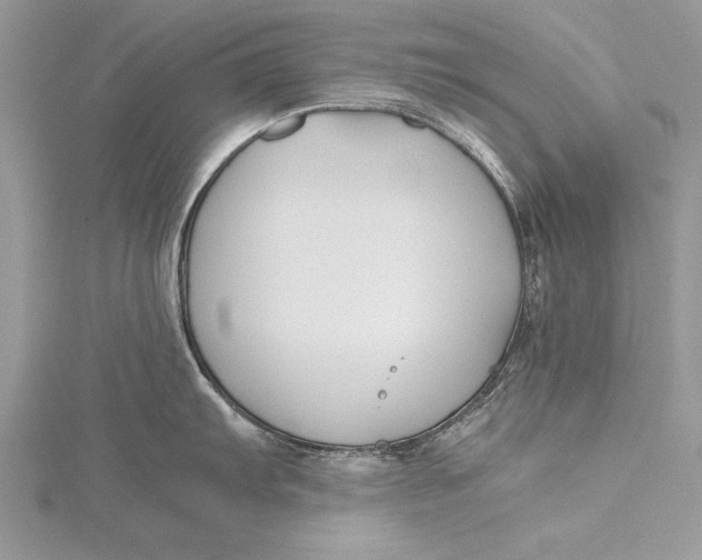 X0000115761103200912041405