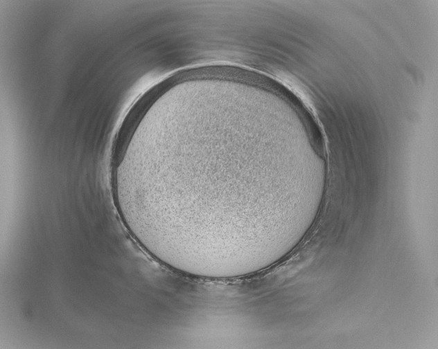 X0000115761104200912041405