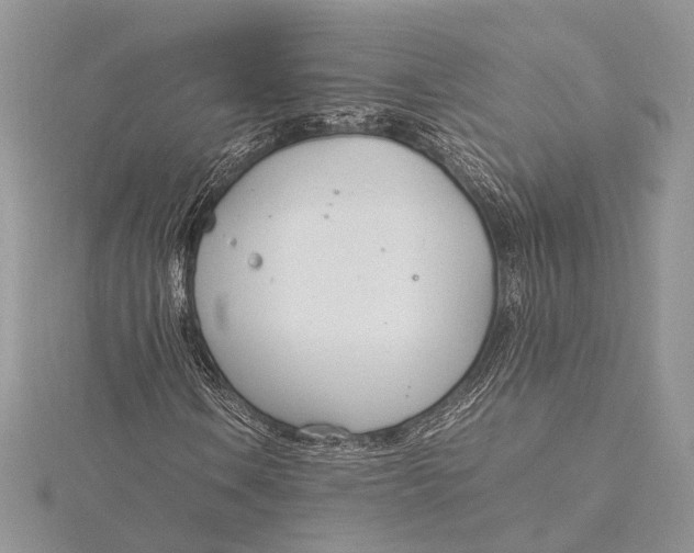 X0000115761106200912041404