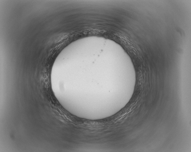 X0000115761109200912041405