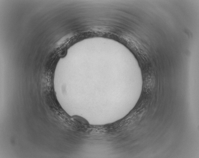 X0000115761110200912041405