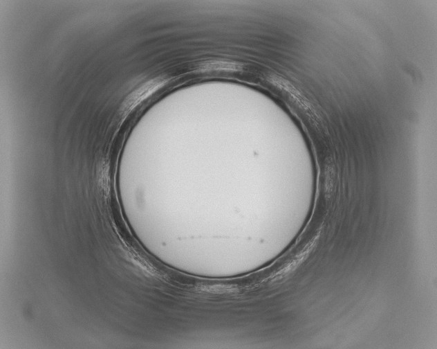 X0000115761113200912041405